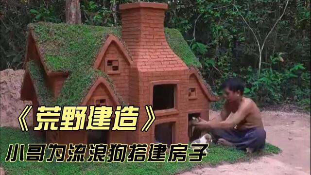 流浪狗没有家,看小哥如何给小狗打造豪华狗屋