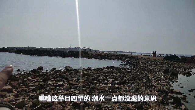 20块钱买了一条25公分亚马逊河地图鱼,入缸后体色艳丽,直呼赚了