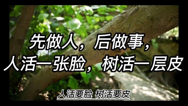 人活一张脸,树活一张皮,做事要先做人