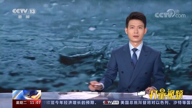 定边:连续强降雨致城区积水严重,多个乡镇农田、房屋和道路受损