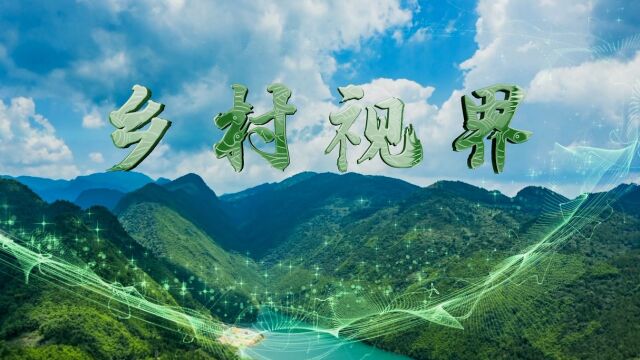 乡村视界——石城油画