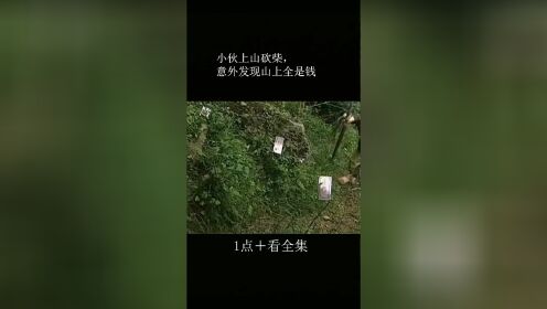 [图]小伙上山砍柴意外发现山上全是钱