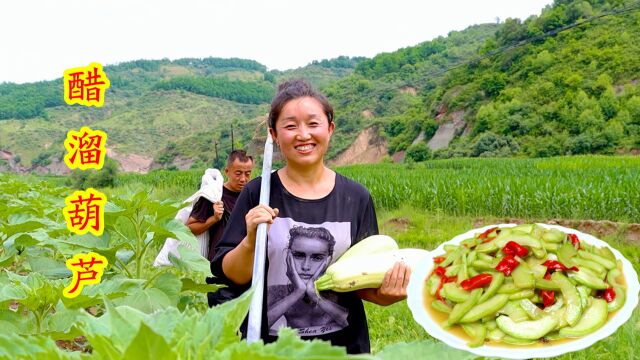 地里摘了两个葫芦,做家常美味醋溜葫芦,酸脆爽口做法简单又好吃