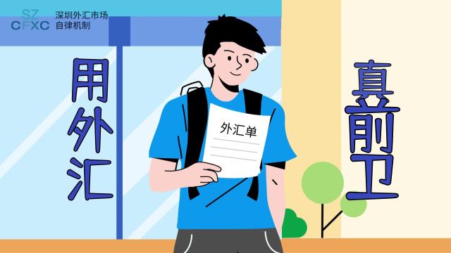 2022年深圳市個人外匯宣傳月主題動畫