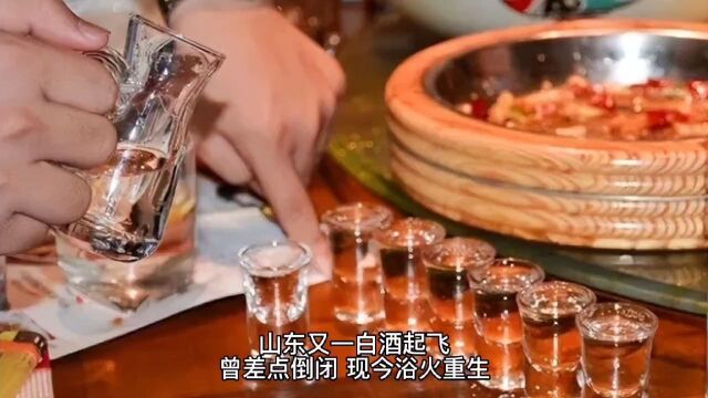 山东又一白酒起飞,曾差点倒闭,上央视宣传过,现今浴火重生