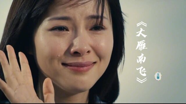 王馨原唱《大雁南飞》完整版,疗伤催泪歌曲,唱哭了多少痴情人