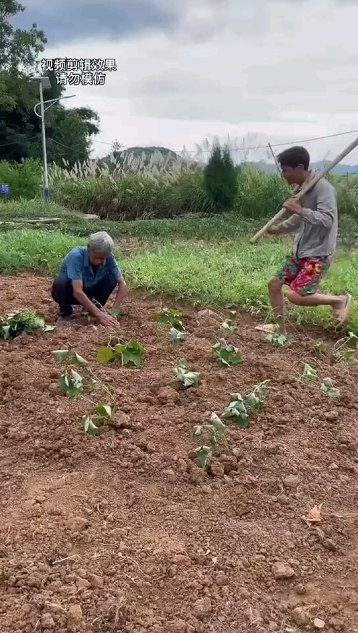 创作灵感农村搞笑视频专治不开心1秒笑到肚子疼爆笑视频，干啥啥不行，挨揍第一名#农村搞笑段子#搞笑短片#搞笑父子😆😆😄_腾讯视频
