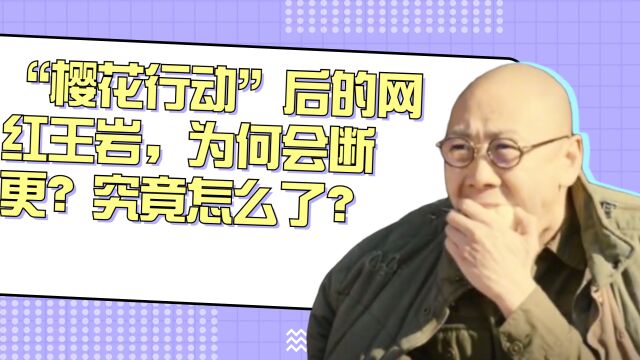 “樱花行动”后的网红王岩,为何会断更?究竟怎么了?