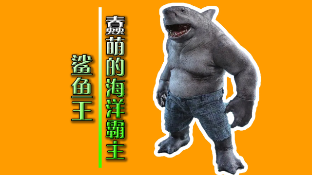 谁敢相信,海洋霸主的鲨鱼王居然爱看书?