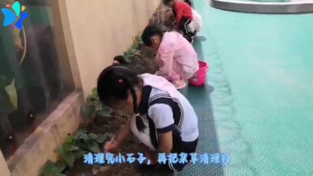 中班组种子记录