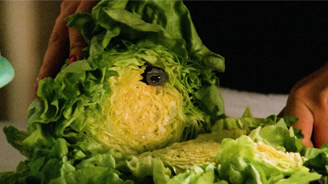 蔬菜中有条鼻涕虫,男人吃完后爆体而亡!惊悚恐怖电影!