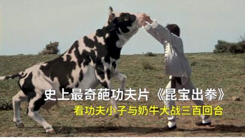 【昆宝出拳】奶牛竟然会武功 看一场功夫小子与奶牛大战三百回合