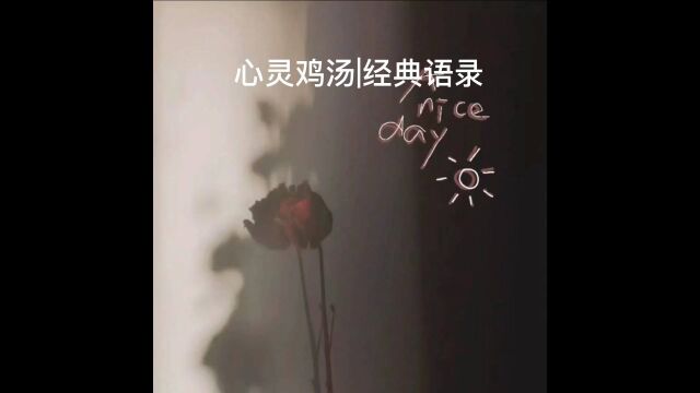 心灵鸡汤|经典语录