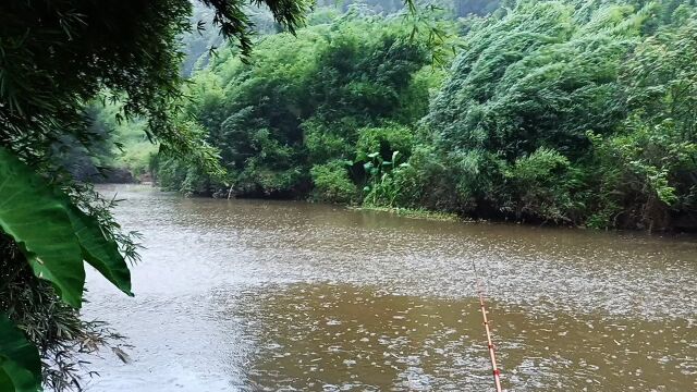 狂风暴雨雷声齐鸣