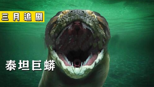 纪录片《泰坦巨蟒》史上最大蛇类泰坦巨蟒,以鳄鱼为食_高清1080P在线观看平台_腾讯视频