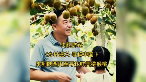 寻鲜中国：每4颗猕猴桃就有1颗来自陕西周至！
