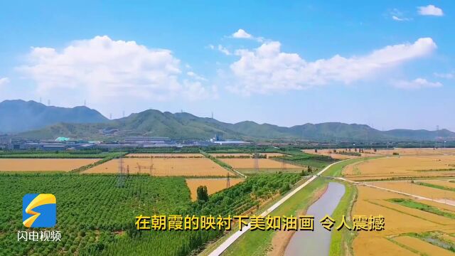 邹平:邂逅初秋 水韵青阳美如画