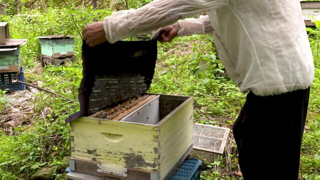 《今日赣鄱》栏目组走进广信区五府山镇人民政府