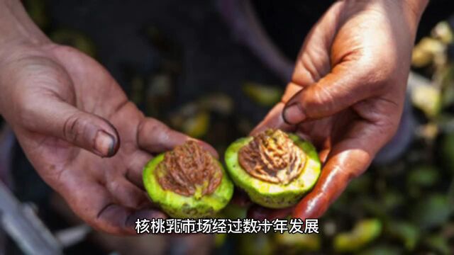 植物蛋白饮品企业那么多,为何六个核桃能脱颖而出并持续领跑?