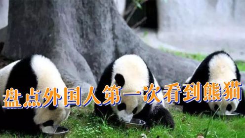 外国人第一次看到中国大熊猫，韩国人原地大叫，英国人山人海迎接