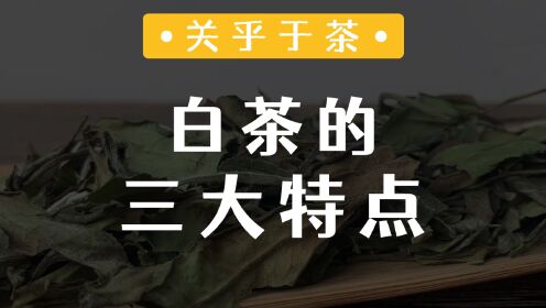 白茶的三大典型特征