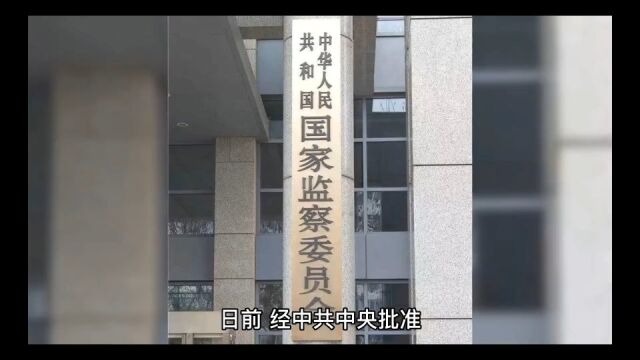 中国人寿保险董事长王滨严重违纪违法