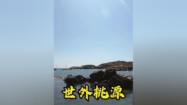 小郑赶海闯进荒岛“世外桃源”,淡菜、海螺、海胆捡到爽,太刺激 #赶海真实户外