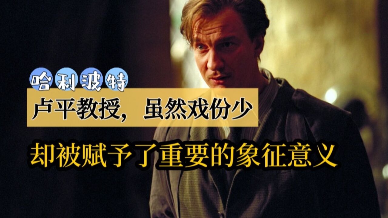 哈利·波特|卢平教授,虽然戏份不多,却被赋予了重要的象征意义_高清1080P在线观看平台_腾讯视频
