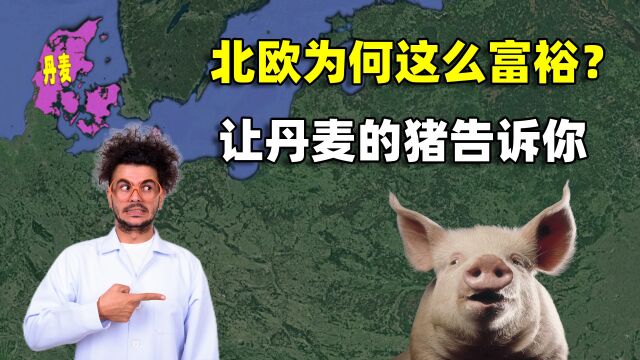 北欧为何这么富裕?丹麦“养猪王国”告诉你答案,中国能否借鉴?