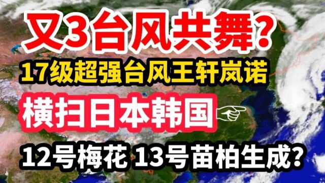 又3台风共舞?风王轩岚诺横扫日本韩国,12梅花 13苗柏生成?