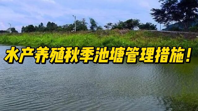 水产养殖秋季池塘管理措施!