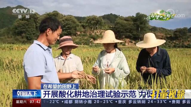 安徽歙县开展酸化耕地治理试验示范,力促提质增产