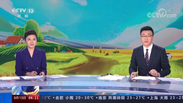 在希望的田野上 | 万亩辣椒迎丰收 田间地头采摘忙