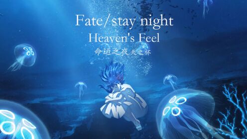 Fate/stay night Heaven's Feel 命运之夜天之杯 序幕