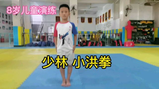 少林寺经典拳法《少林小洪拳》动作演练分析示范 欢迎学习交流