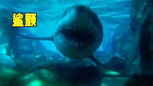 2022年最新惊悚电影！几个作死青年出海游玩，却受到了鲨鱼的袭击