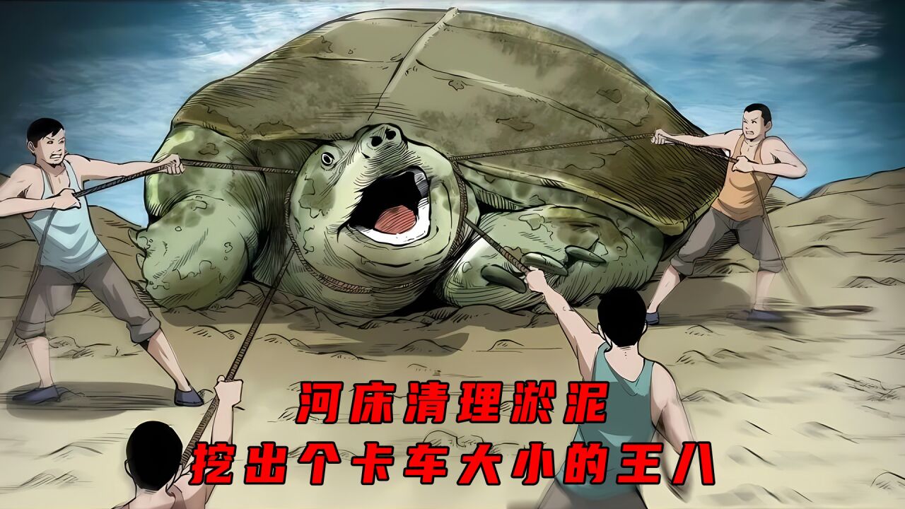 河床清理淤泥,挖出个卡车大小的王八_高清1080P在线观看平台_腾讯视频