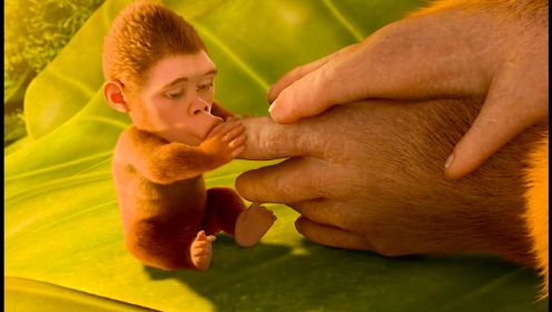 疯狂进化人：小猴初生遭族人看不起，抛下悬崖后逆袭成首领