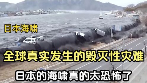 15个真实发生的毁灭性灾难，日本的海啸真的太恐怖了，太震撼
