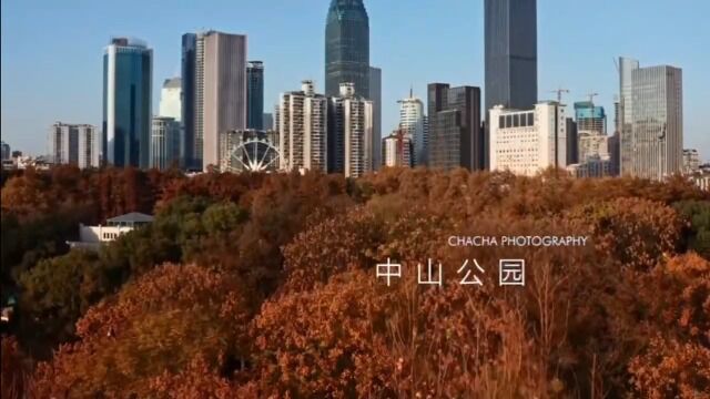 中山公园风景欣赏