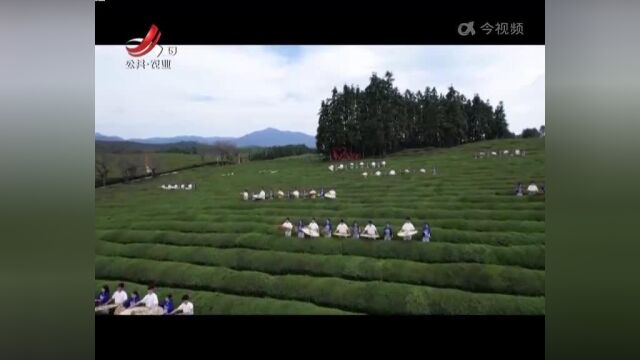 听歌观舞赏茶道 茶海里充满“文艺范”