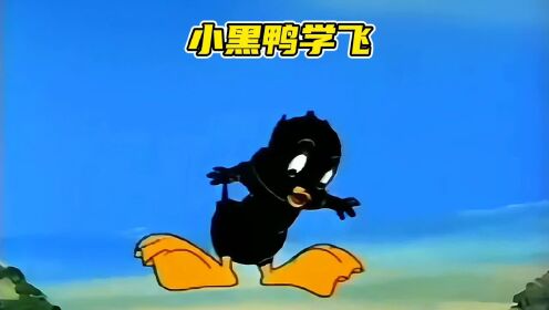 一只幻想学会飞翔的小黑鸭，最后终于实现了他的飞天梦。