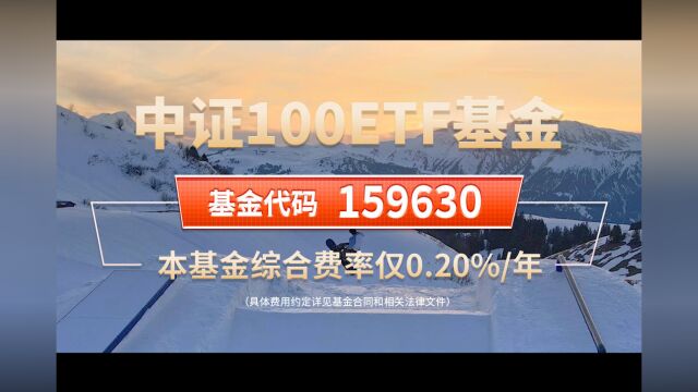 中证100ETF,重磅首发,低位布局A股全领域细分龙头