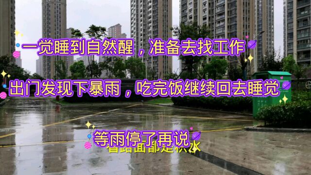 一觉睡到自然醒,准备去找工作,出门发现下暴雨,吃完饭继续回去睡觉