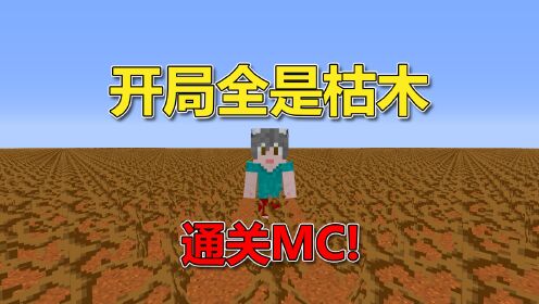 我的世界：开局全是枯木？通关MC！