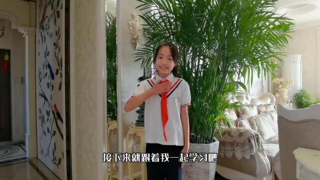 继红小学校少先队资料01