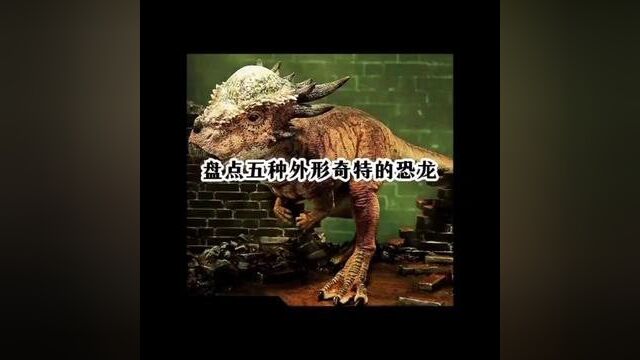 《盘点五种外形奇特的恐龙》#恐龙 #古生物 #动物世界 #原创