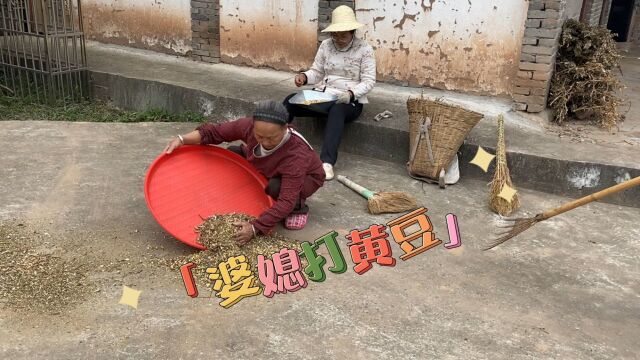 婆婆的黄豆早就收了,一直下雨没有打!今天把剩下的黄豆打了!