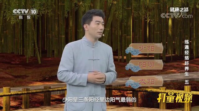 少阳是三条阳经里阳气最弱的,也是易出现瘀堵的一条经