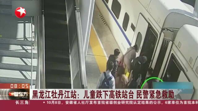 黑龙江牡丹江站:儿童跌下高铁站台 民警紧急救助